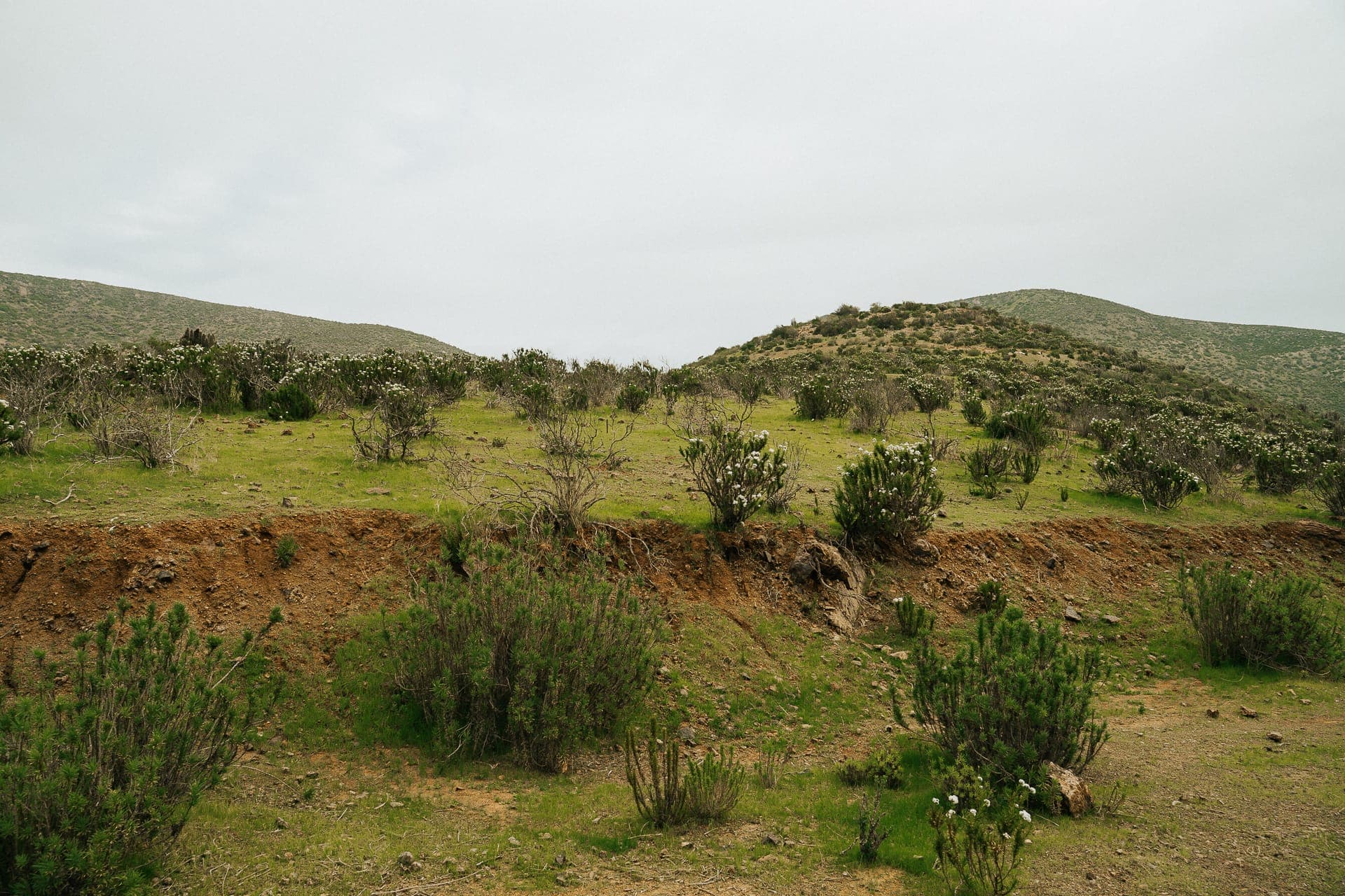 Parcela en El Peñón — foto 7