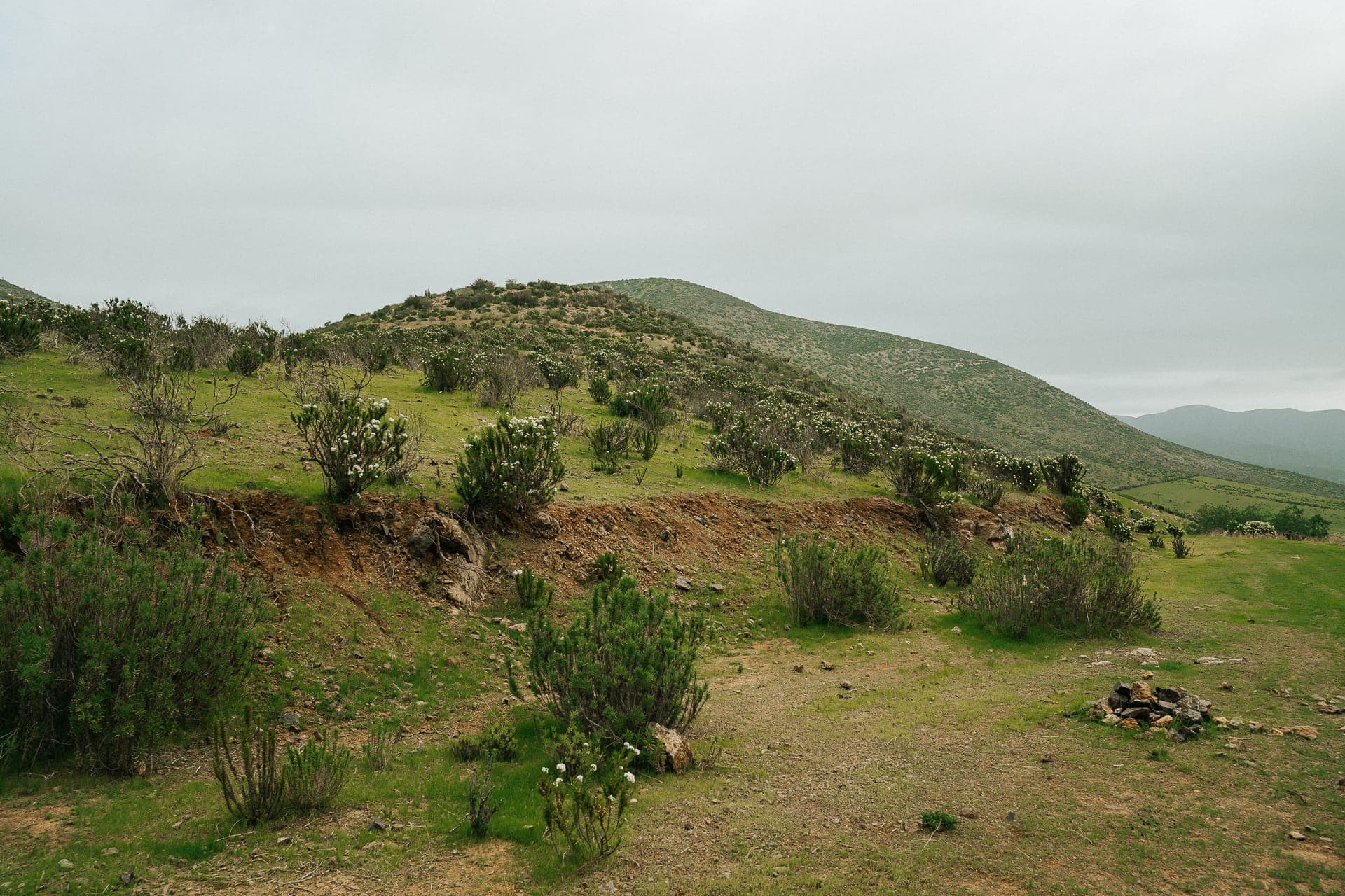 Parcela en El Peñón — foto 8