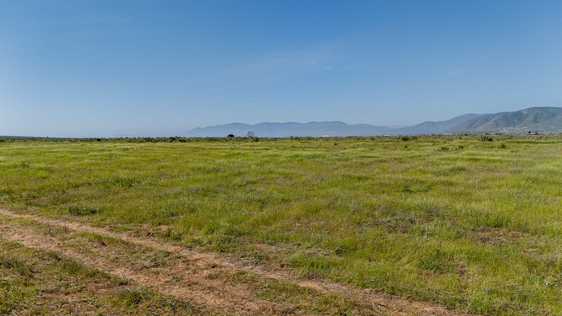 Parcela de 10.000 m² en Guanaqueros, entrada a Tongoy — foto 8